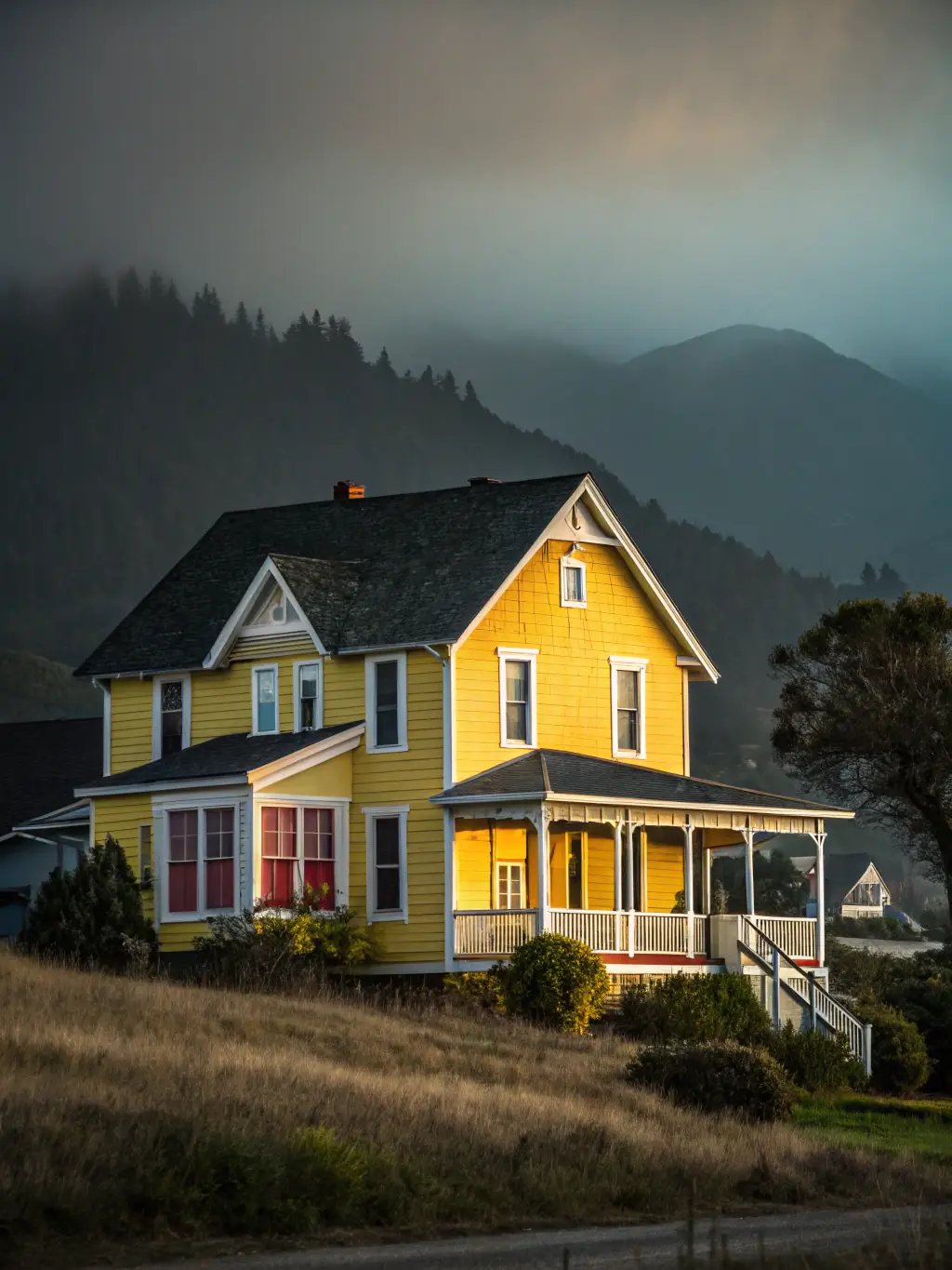 A beautifully renovated home featuring durable fiber cement siding, showcasing its resistance to weather and pests, with a focus on enhancing curb appeal.